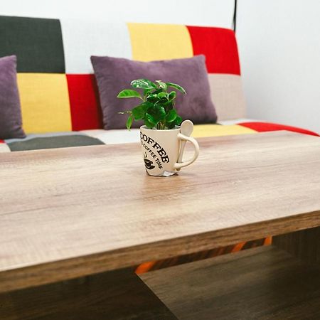 Cozy Apartment Brassó Kültér fotó